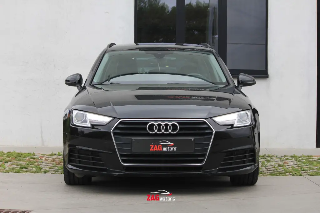IMG_2560.webp
